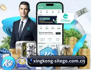 星空网官方网站入口 APP